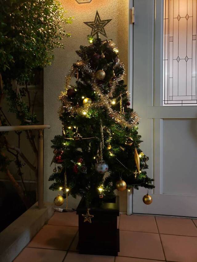 メリークリスマスの写真