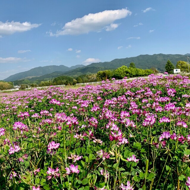 教会地元から車で半時間も走れば、こんな風景を満喫出来ます。We can see this nice view, it takes about half an hour from our church.